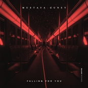 Falling for You - Single