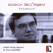 Michele Dall'Ongaro: Grimoire
