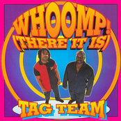 Tag Team: Whoomp! There It Is (Radio Edit)
