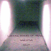 Lurking Echoes Of Fear / Parpita Split