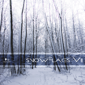 Snowflakes VIII