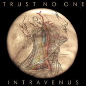 Intravenus