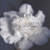 My Siblings - Single