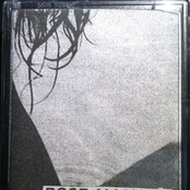 Understanding And Appreciation International Reforms In Sex