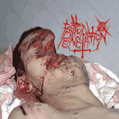 A Dead Putrid Cadaver Is Fucked