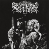 The Werewolf