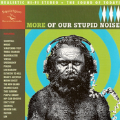 More of Our Stupid Noise