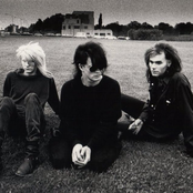 skinny puppy