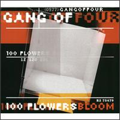 Producer by Gang Of Four