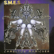 The Infestigation by S.m.e.s.