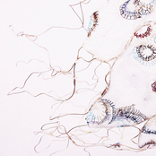 Just A Cogs In The System