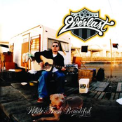 Everlast: White Trash Beautiful