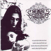 Vampyrisme, Necrophile, Necrosadisme, Necrophagie