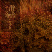 When the sun shines through