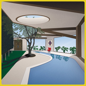 Indoor Plant Life II