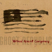 Rattle And Hiss by Willard Grant Conspiracy