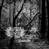 November (BÁL side)