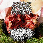 Sebum Excess Production / Cancrum Oris