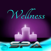 Wellness Spa - Ultimate Massage Relaxation, Music for Meditation, Relaxation, Massage Therapy, Pure Massage Music, Spa Music, Healing Hands