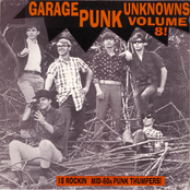 Garage Punk Unknowns Vol.8