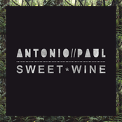 Sweet Wine by Antonio Paul