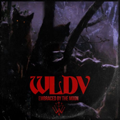 Embraced by the Moon