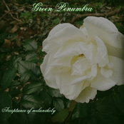 Acceptance Of Melancholy