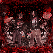 Weedwhacker Colonoscopy