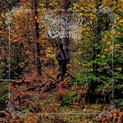 Walking in the blind