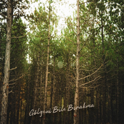 Gölgeni Bile Bırakma