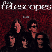 Suicide by The Telescopes