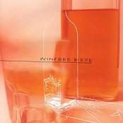 A Bottle, A Dog, Some Milk, A Bottle