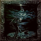 which way the winds blows