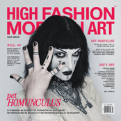 HIGH FASHION MODERN ART