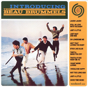 Stick Like Glue by The Beau Brummels