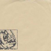 Jazz Man's Needle & Big Daddy Shotgun