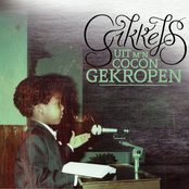 Uit M’n Cocon Gekropen
