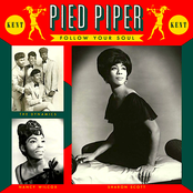 Pied Piper: Follow Your Soul