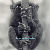 The Hole by Barker & Baumecker