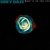 Grey Daze: What's In The Eye