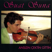 Ansızın Çektin Gittin