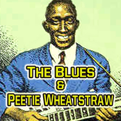 Come Over And See Me by Peetie Wheatstraw