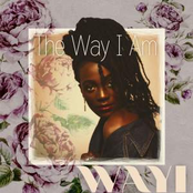 The Way I Am - Single