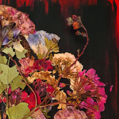 Bodies Pile To The Sky