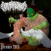 promo 2013