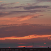 things i'd never say