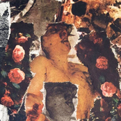 The Beauty Of Disease