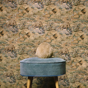 'Kinnie The Explorer'