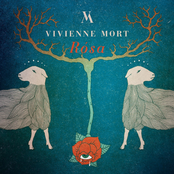 Vivienne Mort (rósa, 2016)