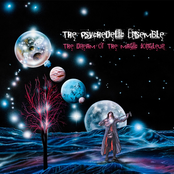 Magicking by The Psychedelic Ensemble